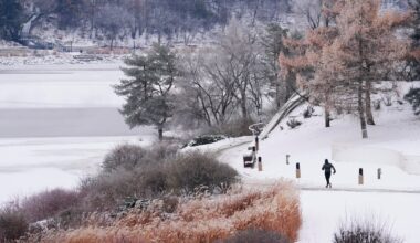 New Year's Eve Canada weather forecast