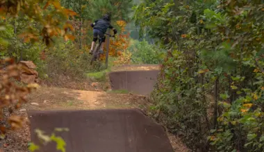 A mountain biker performing a jump over a dirt ramp in a forested area with autumn foliage.