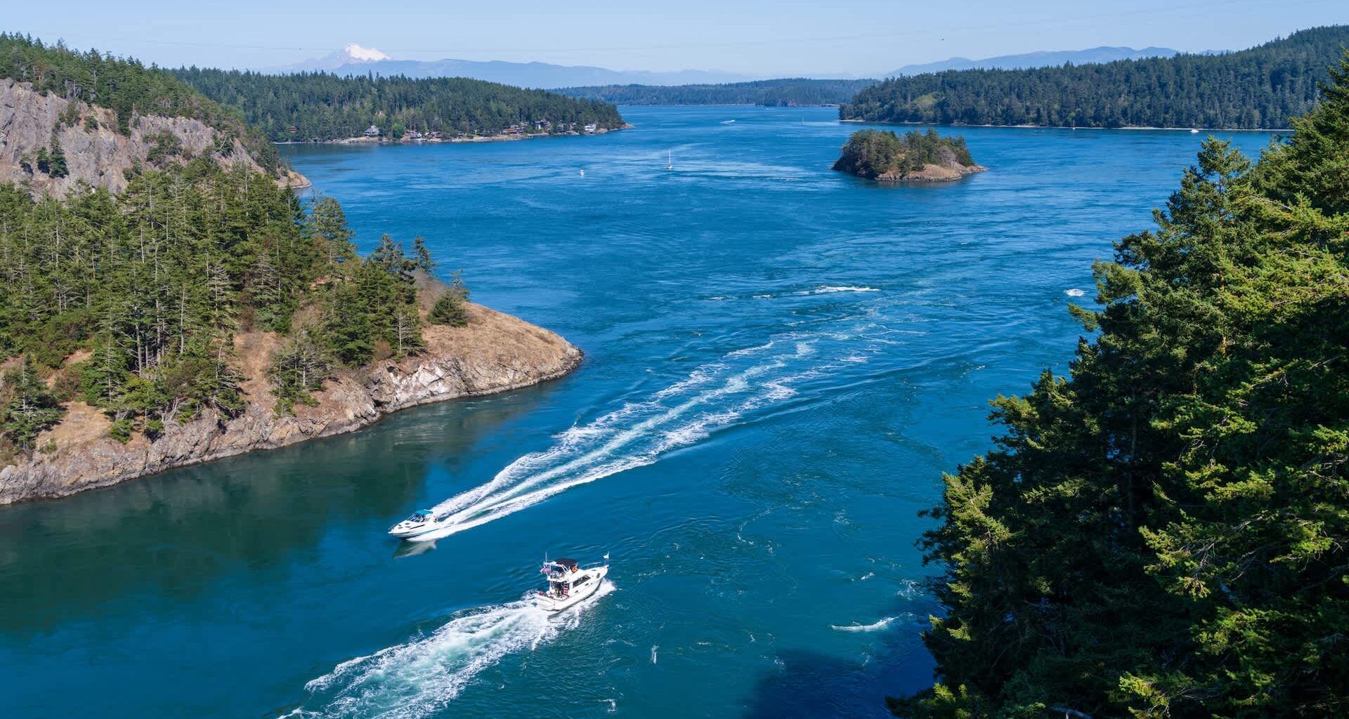 Researchers with Washington Sea Grant confirmed the first-ever detection of European green crabs in the northern Whidbey Basin.