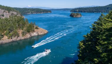 Researchers with Washington Sea Grant confirmed the first-ever detection of European green crabs in the northern Whidbey Basin.