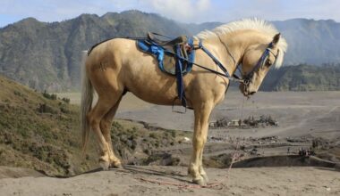 Apple's SHARP can turn a photo into a 3D scene in under a second