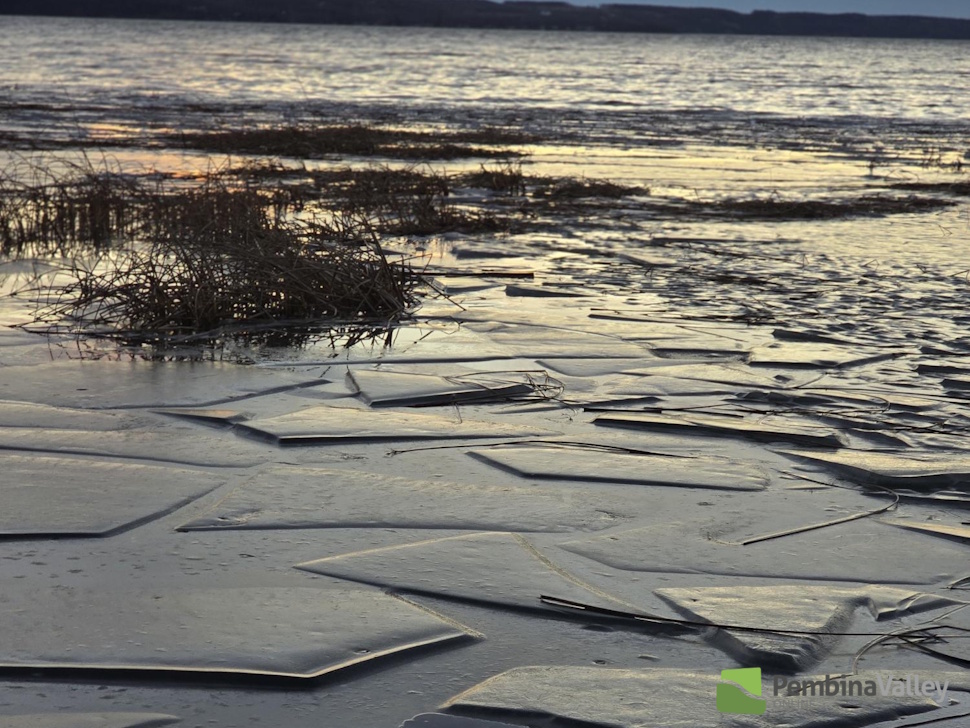 Frozen frogs, oxygen-defying turtles, and other winter survival wonders - PembinaValleyOnline.com