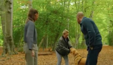 ‘Oh my God’: Dog walker stumbles upon Prince William in viral park encounter - CTV News