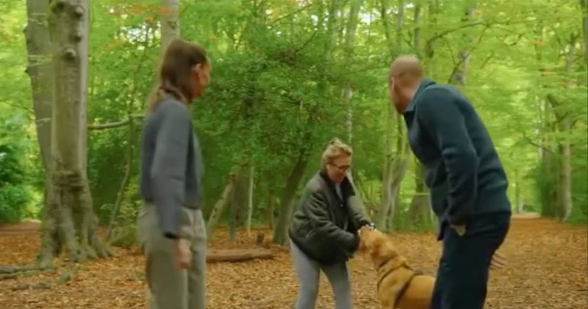 ‘Oh my God’: Dog walker stumbles upon Prince William in viral park encounter - CTV News