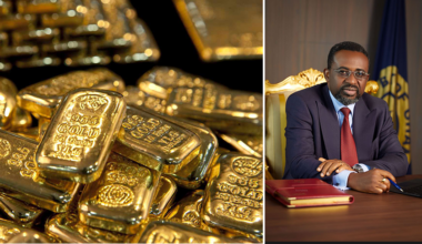 BoG Pushes Back on IMF’s Reported $214M DGPP Loss, Says Figures Are Premature &  Speculative