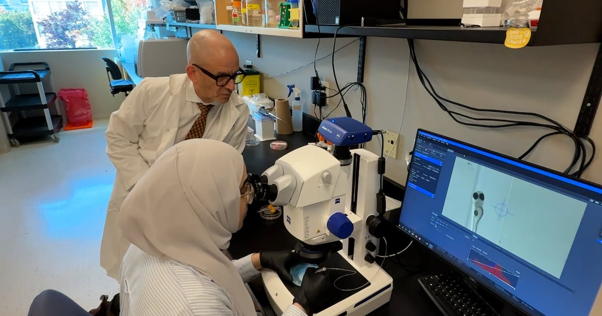 International researchers lured to Canada