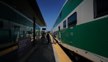 Dog electrocuted to death at GO station in Hamilton