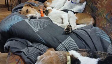 Not so fast… — Greater Fool – Authored by Garth Turner – The Troubled Future of Real Estate