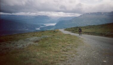 True north: A friendship reborn