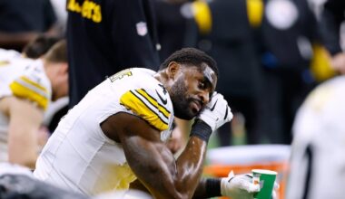 Steelers coach Mike Tomlin says he supports suspended wide receiver DK Metcalf after fan incident