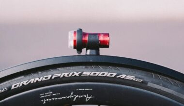 A mudguard with a light mounted on top