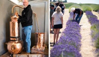 Paso Robles Daily News