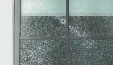 Surrey mayor ‘appalled’ by extortion suspects’ refugee claims as police investigate another shooting - CTV News