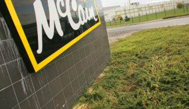 McCain tater tots recalled due to pieces of plastic