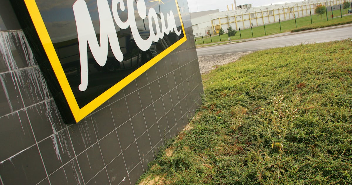 McCain tater tots recalled due to pieces of plastic