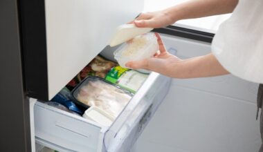 13 things dietitians always keep in the freezer, including oven chips