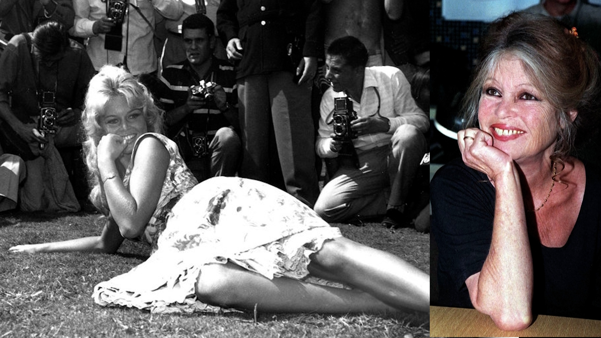 Click to play video: '‘The beauty, the sex symbol’: French actor Brigitte Bardot dies at 91'