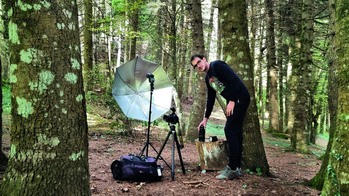 "I was attacked by a swarm of wasps in a bamboo forest in South Korea. I still remember how fast I had to run."