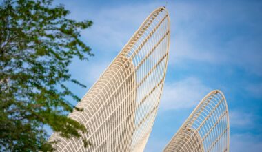 Zayed National Museum launches Quiet Morning, featuring softer lighting and sound elements in its galleries