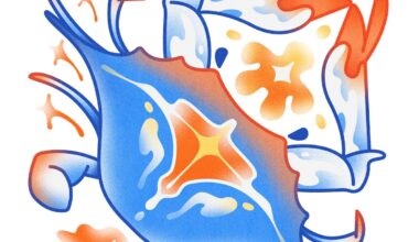 Horoscopes 2026: Looking to the year ahead