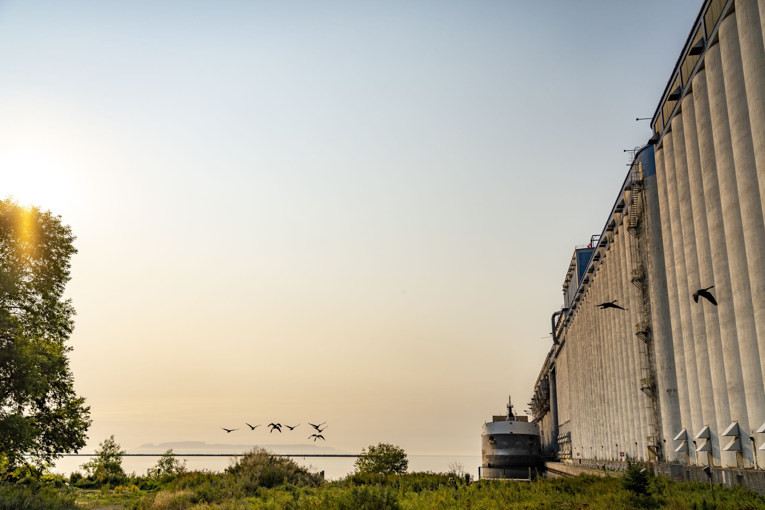 Geese fly over the port of Thunder Bay with industrial buildings at one side