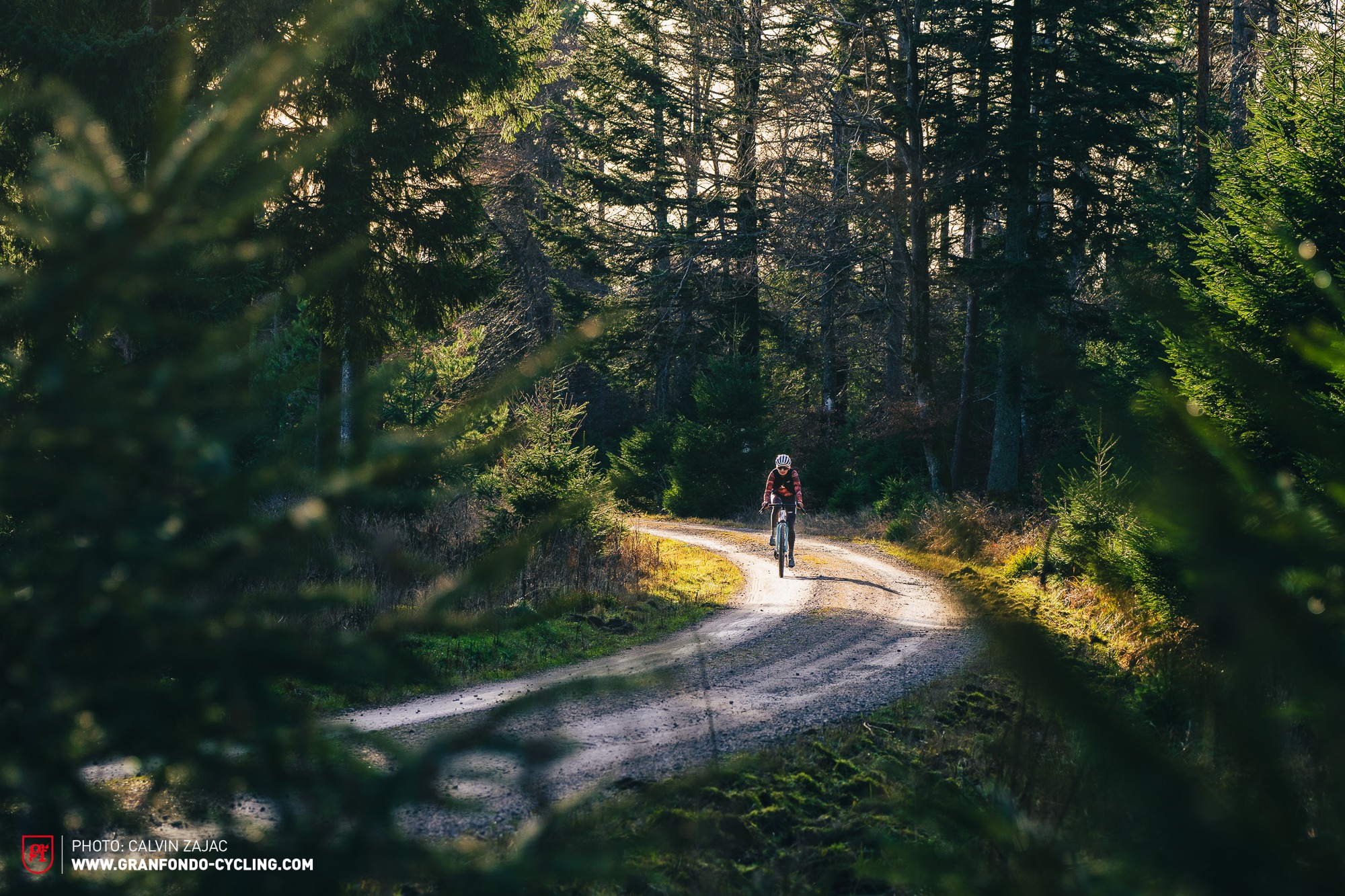 Trek Checkout SL7 2025 Test Review WEB 17