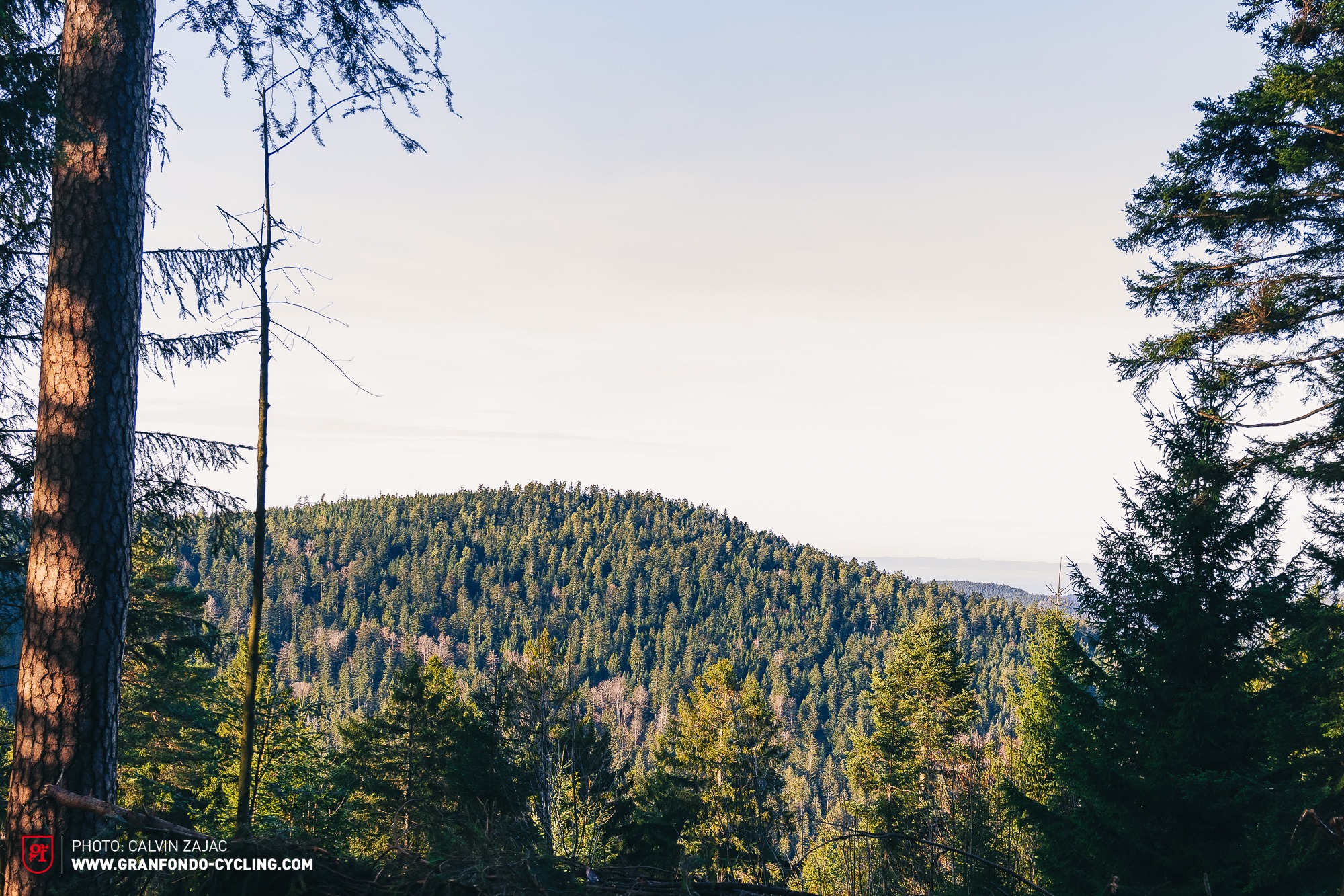 Trek Checkout SL7 2025 Test Review WEB 4