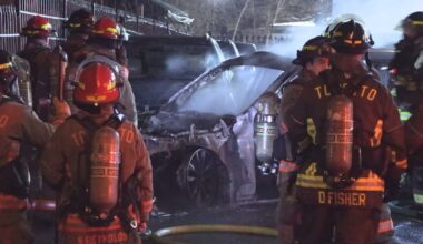 Vehicles set on fire at Scarborough dealership