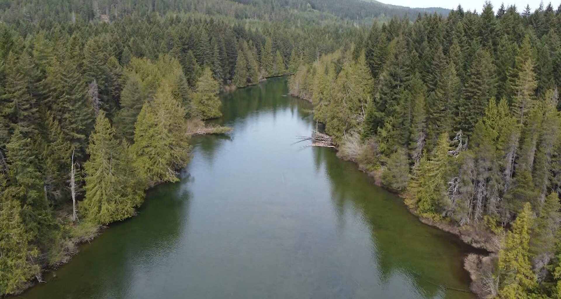 Feds promise $270K to protect fresh water on Vancouver Island