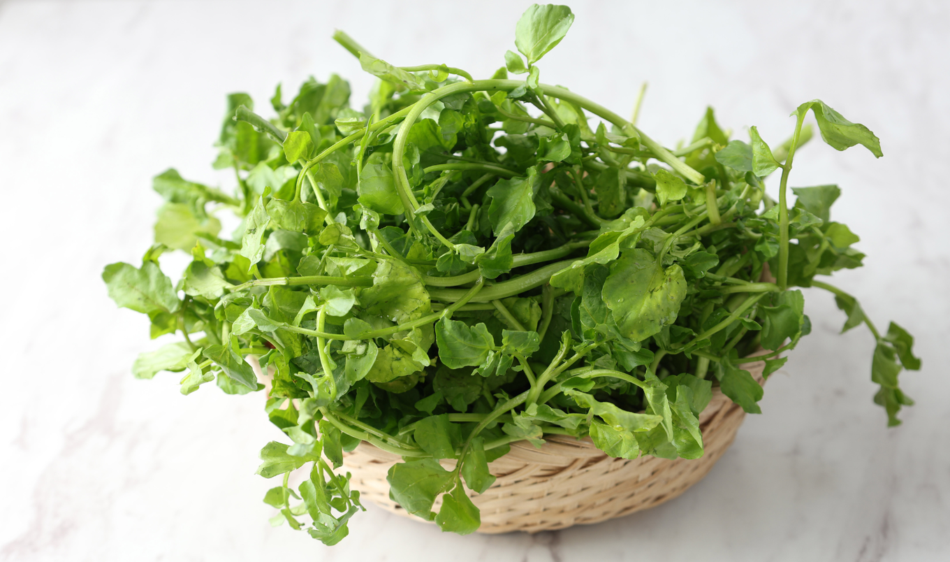 Watercress.1