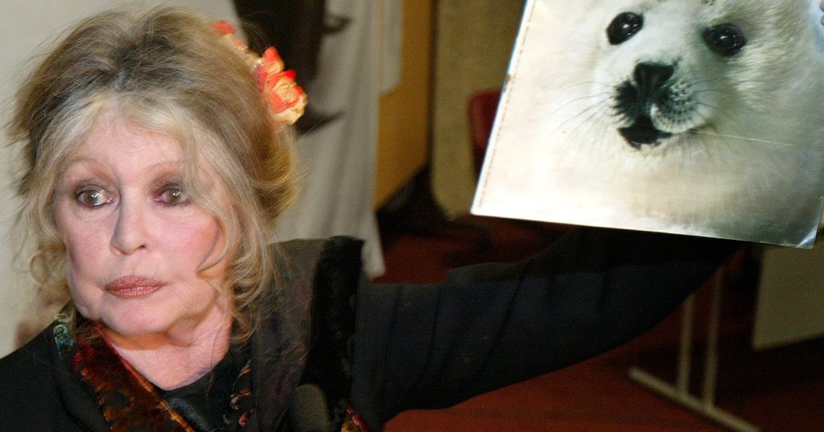 French actor Brigitte Bardot remembered in Canada for fighting seal hunt - CTV News