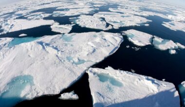 Arctic sees unprecedented heat as climate impacts cascade - CTV News