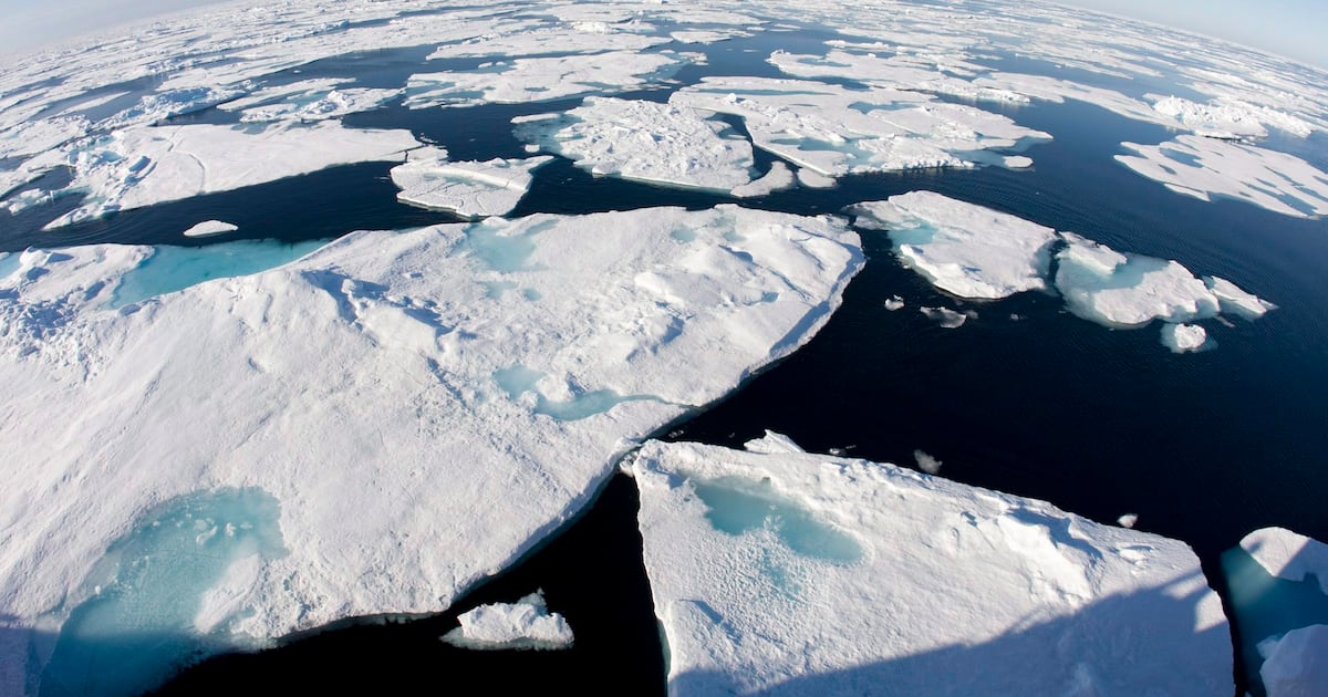 Arctic sees unprecedented heat as climate impacts cascade - CTV News