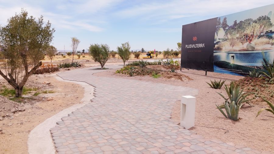 PIZÁ GOLF REFLECTS ON A YEAR OF VISION, WELLNESS, AND DESIGN EVOLUTION