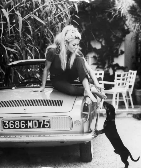 Bettmann Archive/Getty Images Brigitte Bardot, sitting on the boot of a car with bare feet at her villa in St Tropez, as her dachshund leaps up at her.
