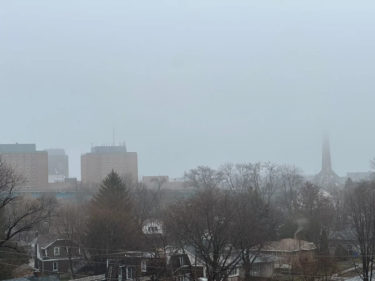 Environment Canada issues rainfall, wind warnings for Windsor-Essex