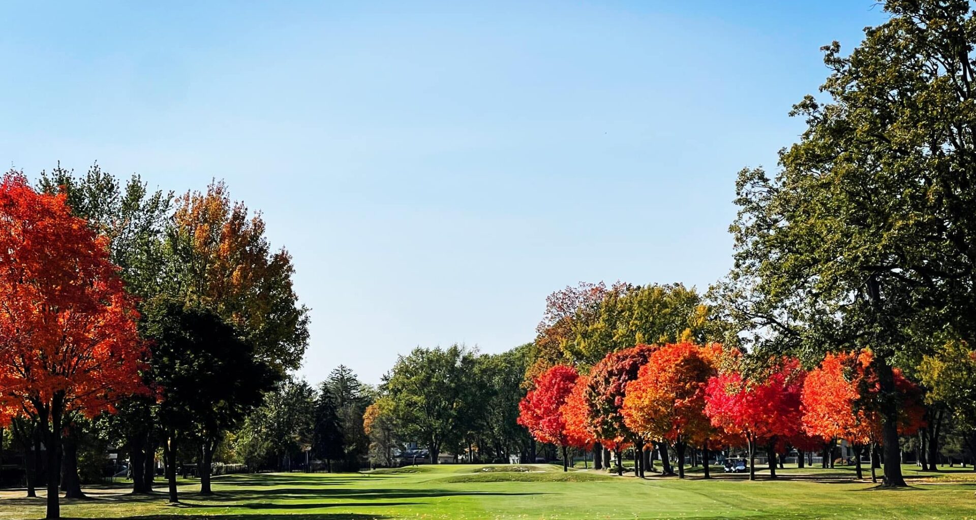 City dissolving Roseland Golf Club Ltd. and its board, course will fall under a city department in 2026