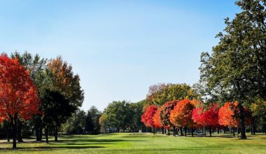 City dissolving Roseland Golf Club Ltd. and its board, course will fall under a city department in 2026