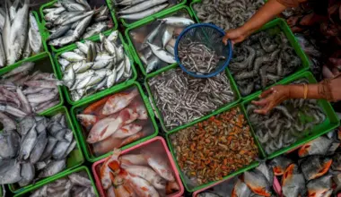 Does the Scandinavian Diet Improve Heart and Liver Health?