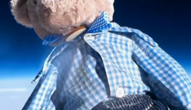 The Near Space Adventures Of Bradfield The Bear