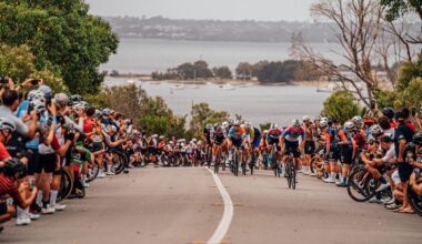 Chop 'till you drop: inside Boxing Day Papas