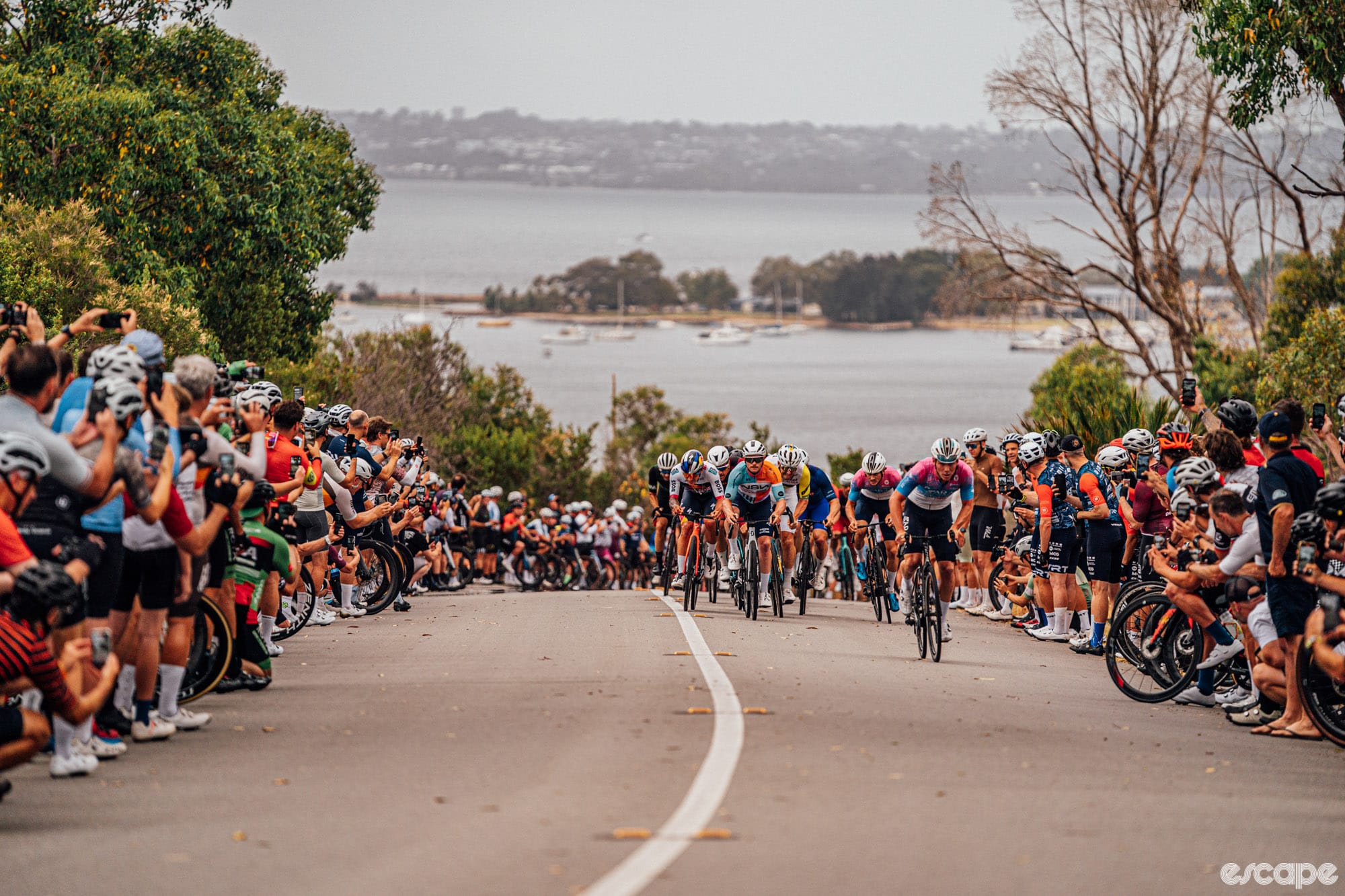 Chop 'till you drop: inside Boxing Day Papas