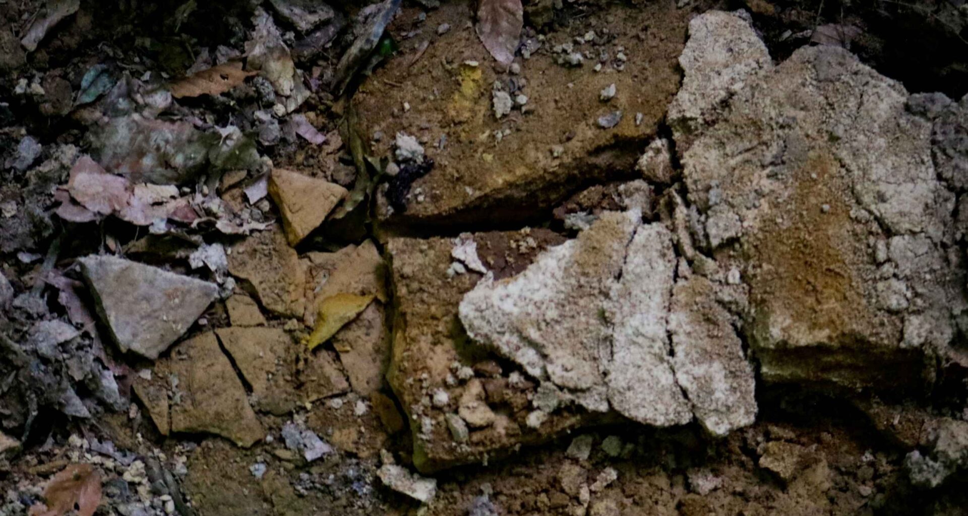 AI-powered satellites point to a massive lithium resource at a Canadian project