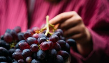 Are Grapes Good for You? Dietitians Share Health Benefits