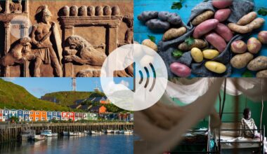 The Nature Podcast highlights of 2025