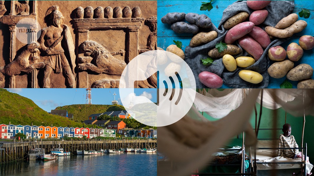 The Nature Podcast highlights of 2025