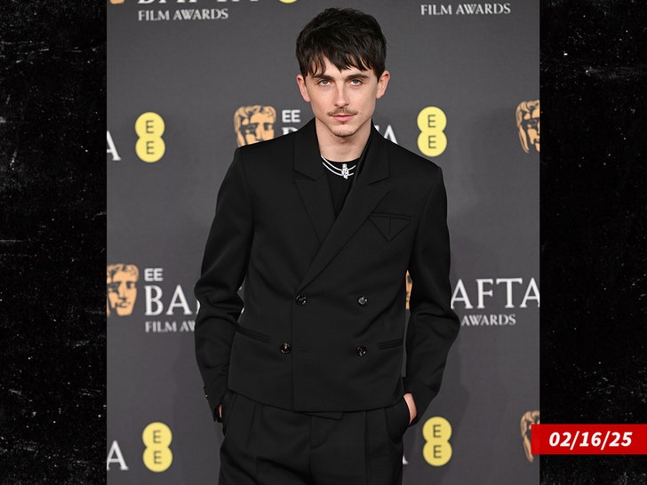 timothee chalamet sub getty swipe