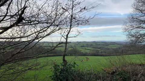 Farmland under a wintry sky, with grey cloud and streaks of blue sky, surrounded by a border of bare hedges and trees. There is rolling countryside and hills beyond the field.