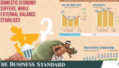 Domestic economy suffers while external balance stabilises - The Business Standard