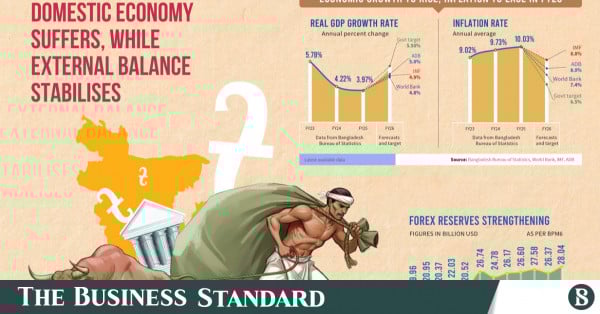 Domestic economy suffers while external balance stabilises - The Business Standard